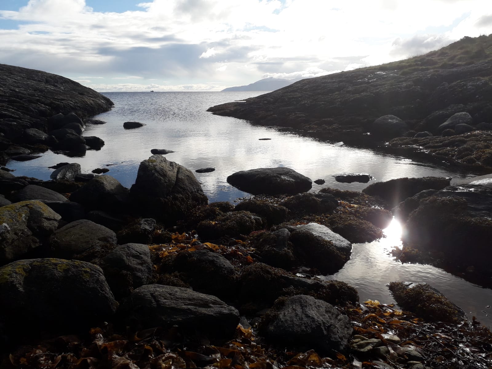 The Water